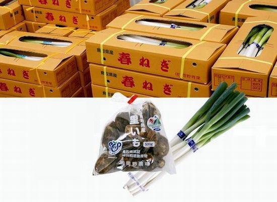 �˂��A��؂�卪�A����